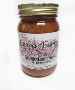 Mango Lime Salsa (Medium)