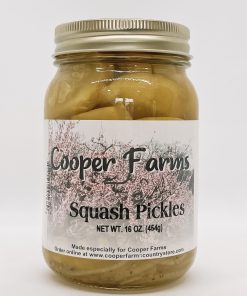Squash Pickles 16 oz