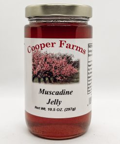 Muscadine Jelly - 10.5 oz