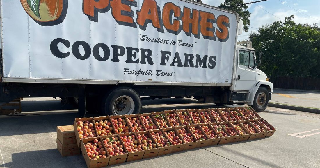 Cooper Farms Fairfield Texas